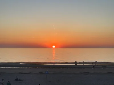 IMG_3505.webp