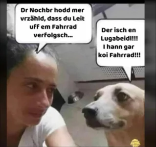 Screenshot_2026-05-20-18-44-11-703_com.whatsapp-edit.webp Screenshot_2026-05-20-18-44-11-703_com.whatsapp-edit.webp