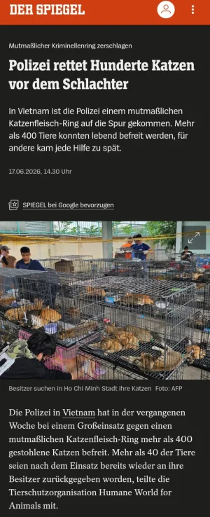 1000231863.webp