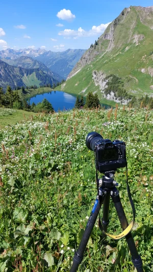 Nebelhorn.webp Nebelhorn.webp