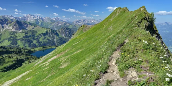 Oberallgäu 001.webp Oberallgäu 001.webp
