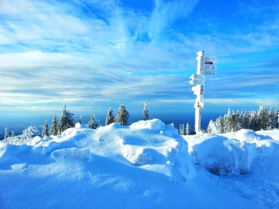 20160114_141623-01.webp