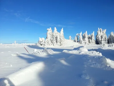 20160114_141535.webp