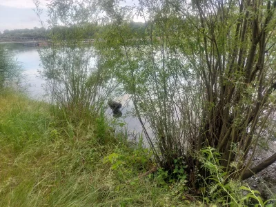 20260629_103716.webp