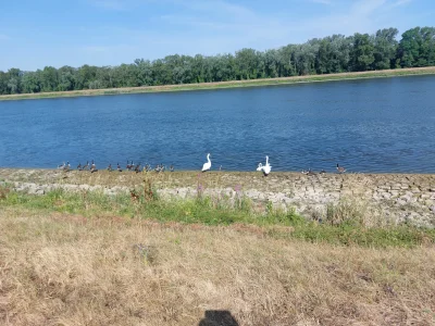 20260714_095821.webp