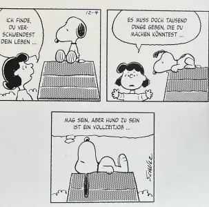 snoopy.webp