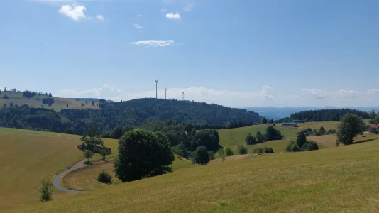 IMG-20260718-WA0005.webp