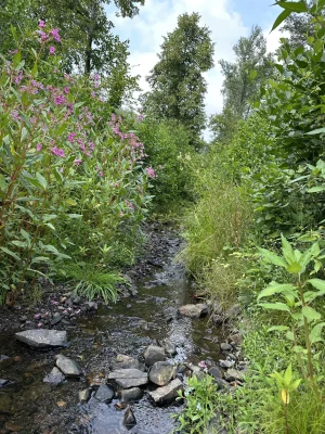 IMG_2159.webp IMG_2159.webp