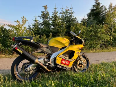 Yellow sun down.webp
