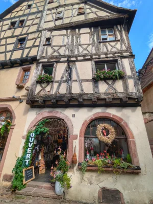 PXL_20260725_143739298.webp