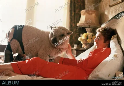 album_alb819100.webp album_alb819100.webp