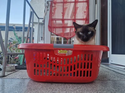 Charlie Heute.webp