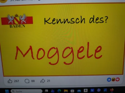 17858529900624664332067853286551.webp