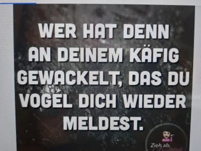 20260830_122932.webp