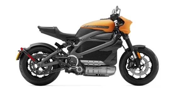 Brizzzzl Harley.webp