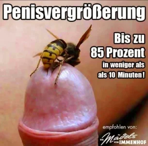 IMG-20260921-WA0044.webp