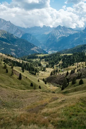 DSCF0554.webp