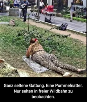 Screenshot_20260925_145524_WhatsApp.webp