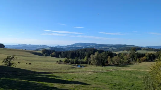 IMG-20260927-WA0098.webp