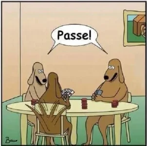 Poker.webp Poker.webp
