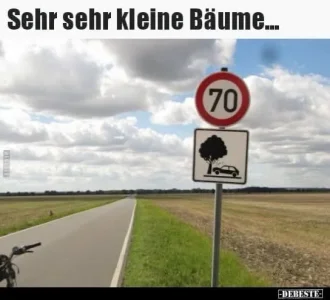 baeume.webp