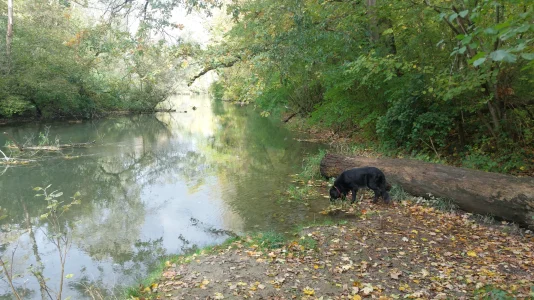 IMG-20261025-WA0014.webp