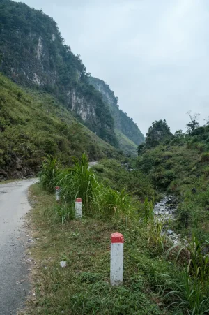 DSCF2537.webp