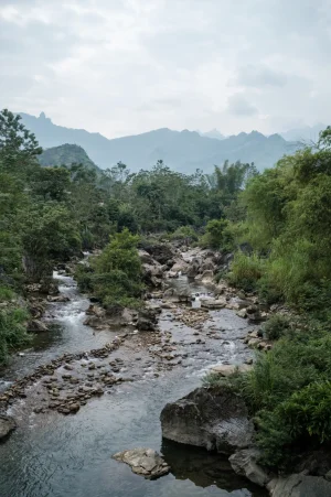 DSCF2623.webp