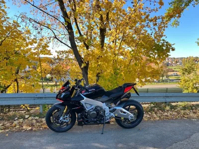 falling leaves.webp