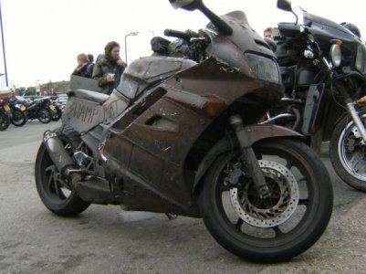 honda-vfr-swamp-rat-5.jpg