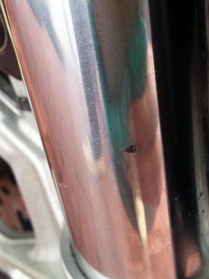20130328_155421.jpg