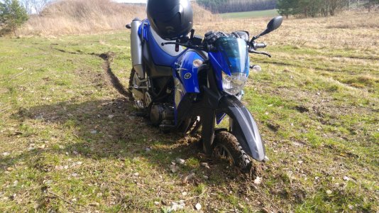 IMG-20170304-WA0007.jpg