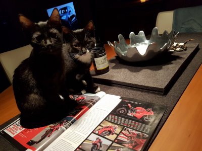 20171111_175137.jpg