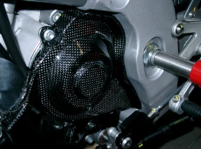 Carbon Ritzelabdeckung.jpg
