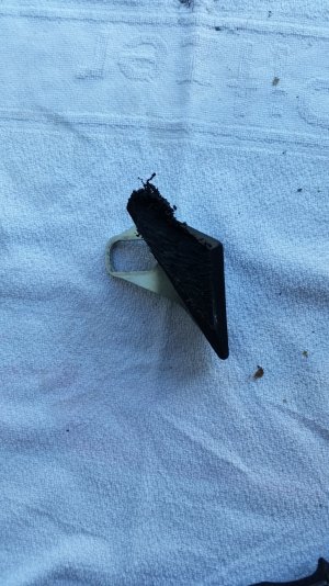20180422_154029.jpg