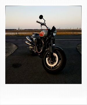 roidizer_1523986437438.jpg