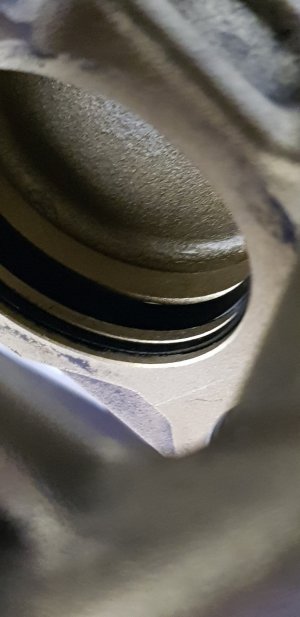 20180617_152658.jpg