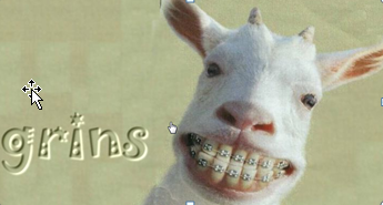 1533883406516.png