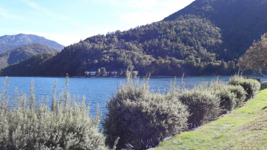 20181002_153741.jpg