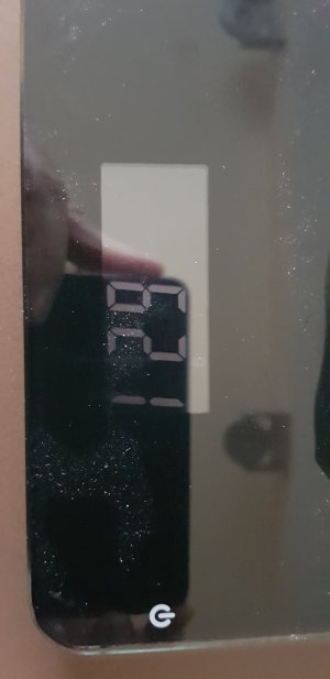 20181125_140208.jpg