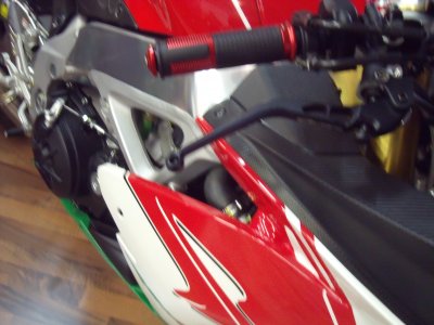 Dorso, Rizoma Bonnie 010.JPG