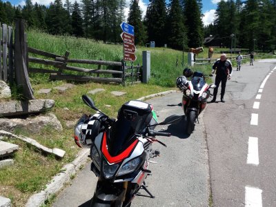 20180622_140724.jpg