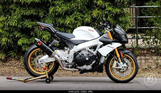 Aprilia_Tuono.jpg