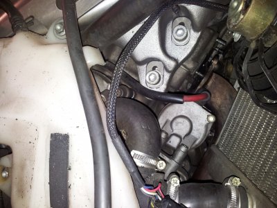 20131217_130619[1].jpg