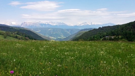 20190607_162914.jpg
