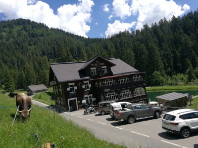 IMG_20190618_123823.jpg