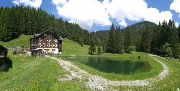 IMG_20190618_130609.jpg