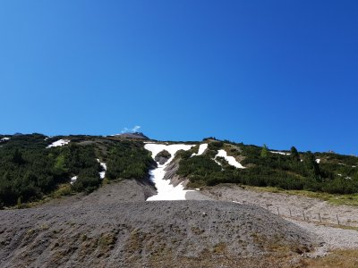 20190619_103501.jpg