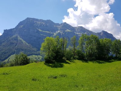 20190618_120921.jpg