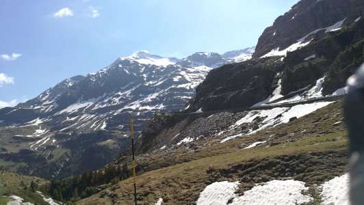 IMG_20190619_100951.jpg